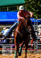 BraidwoodRodeo2015_0752