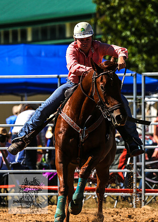 BraidwoodRodeo2015_0752