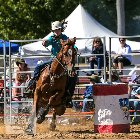 BraidwoodRodeo2015_0773