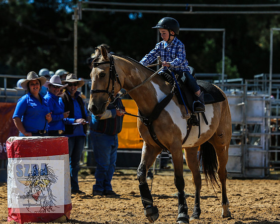 BraidwoodRodeo2015_1172