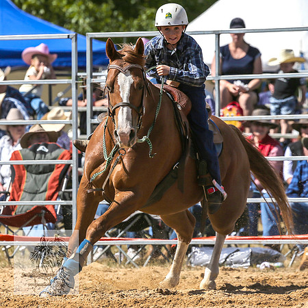 BraidwoodRodeo2015_1141