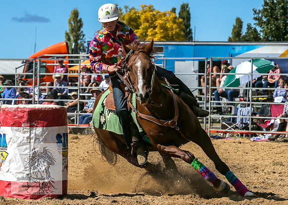 BraidwoodRodeo2015_1049