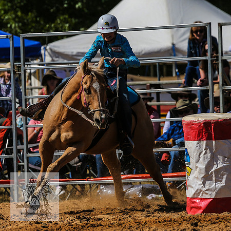 BraidwoodRodeo2015_1007
