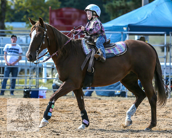 BraidwoodRodeo2015_1195