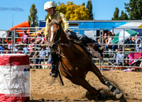 BraidwoodRodeo2015_1060