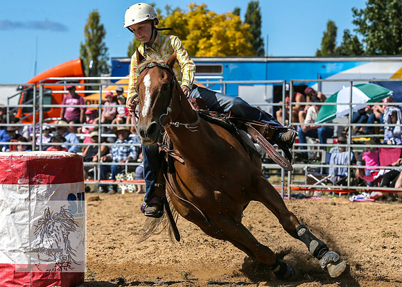 BraidwoodRodeo2015_1060