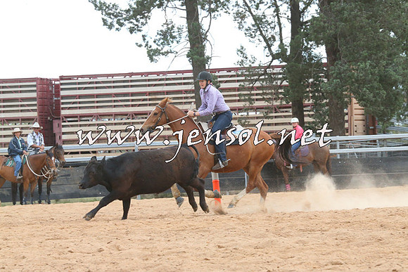 TubbulCampdraft2014_2198