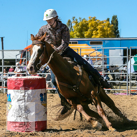 BraidwoodRodeo2015_0795