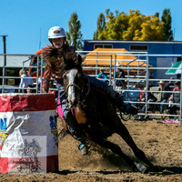 BraidwoodRodeo2015_0465
