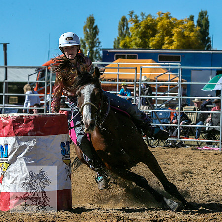 BraidwoodRodeo2015_0465