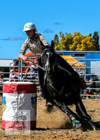 BraidwoodRodeo2015_0866