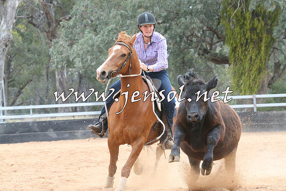 TubbulCampdraft2014_2193