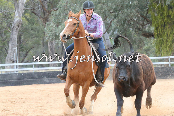 TubbulCampdraft2014_2194