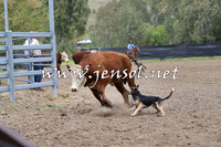 Battleonthebidgee_0248