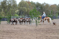 Battleonthebidgee_0227