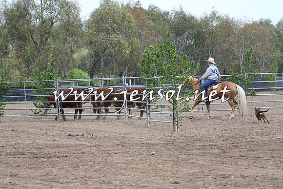 Battleonthebidgee_0227