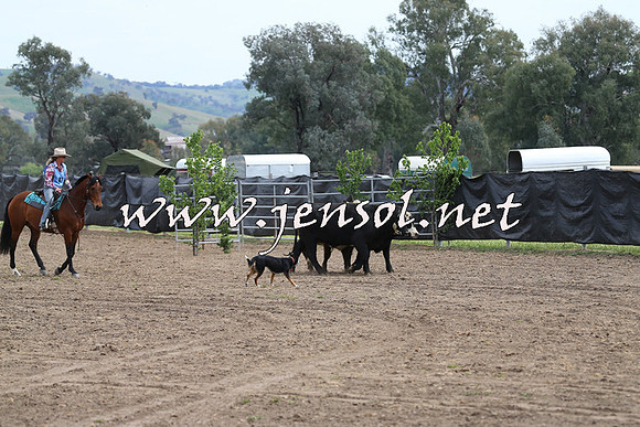 Battleonthebidgee_0264