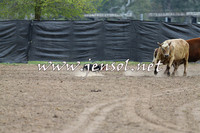 Battleonthebidgee_0205