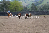 Battleonthebidgee_0226