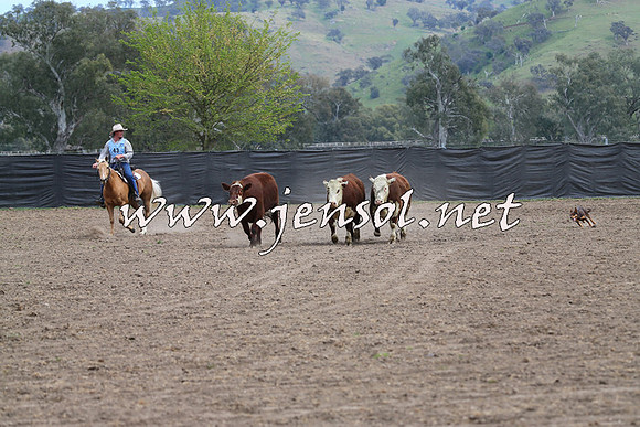 Battleonthebidgee_0226