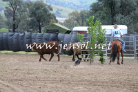 Battleonthebidgee_0203