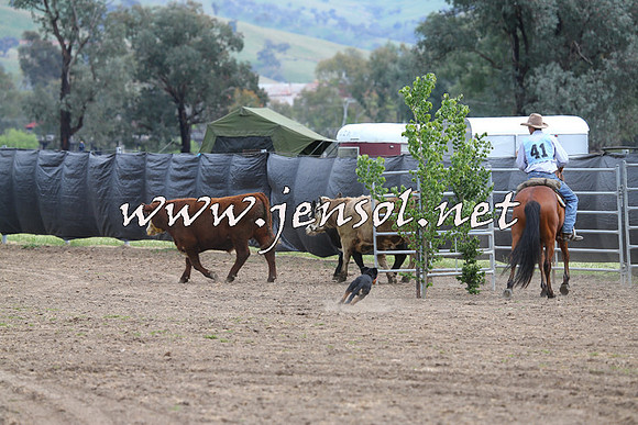 Battleonthebidgee_0203