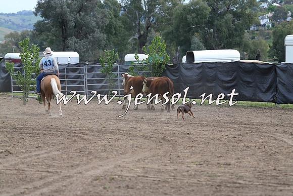 Battleonthebidgee_0220