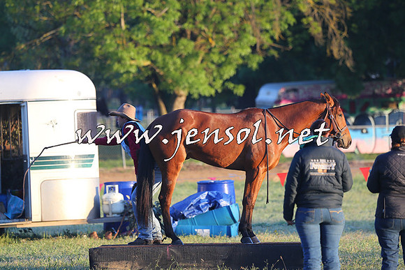 BattleOnTheBidgee_2010