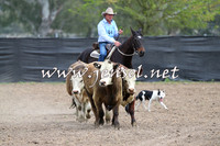 Battleonthebidgee_0238