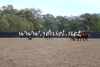 Battleonthebidgee_0194