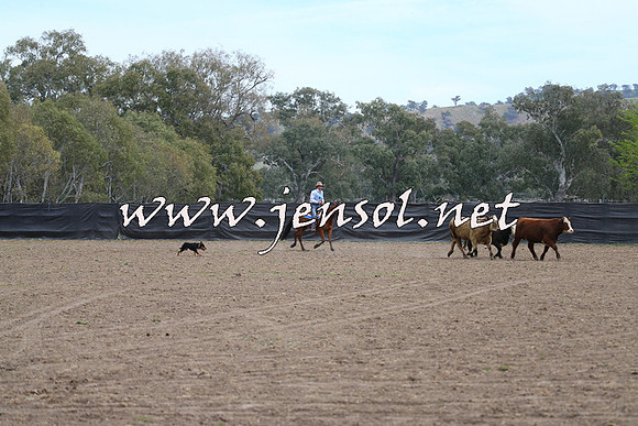 Battleonthebidgee_0194