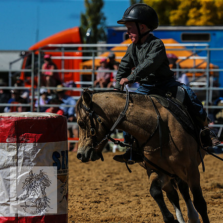BraidwoodRodeo2015_1130