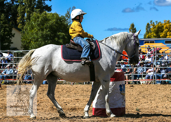 BraidwoodRodeo2015_1167
