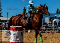BraidwoodRodeo2015_1089