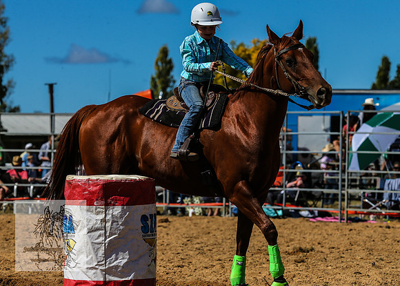 BraidwoodRodeo2015_1089