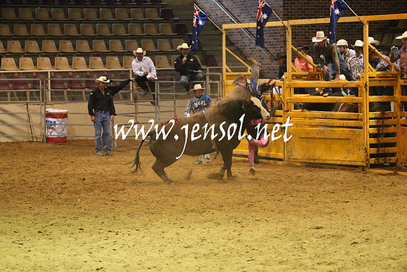 RealDealRodeoNov2013_0628