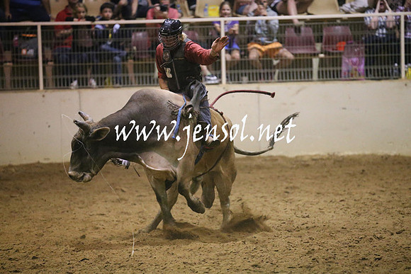 RealDealRodeoNov2013_1421