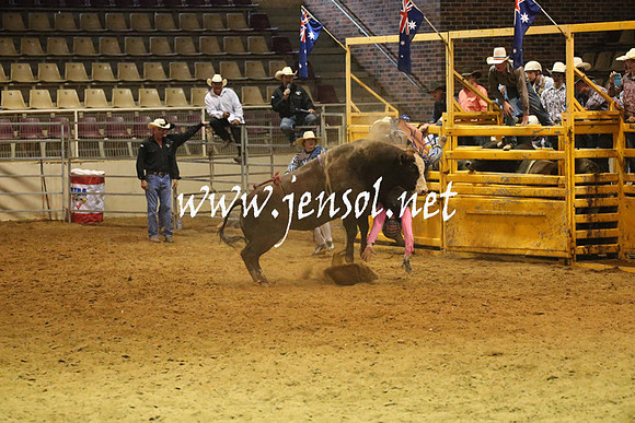 RealDealRodeoNov2013_0629