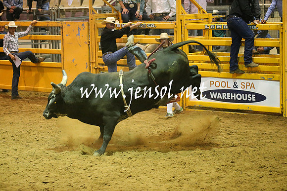 RealDealRodeoNov2013_0609