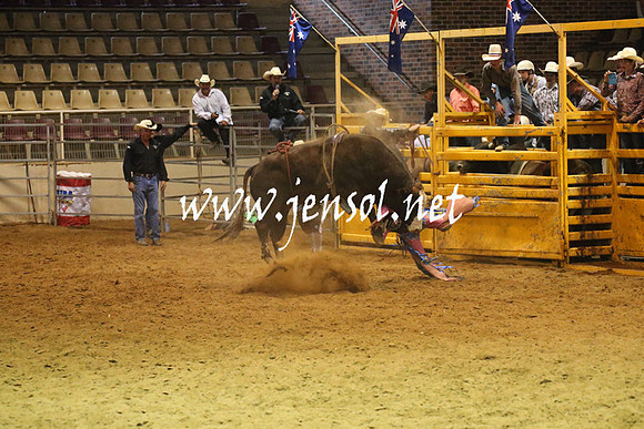RealDealRodeoNov2013_0631