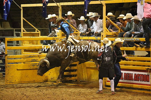 RealDealRodeoNov2013_1086