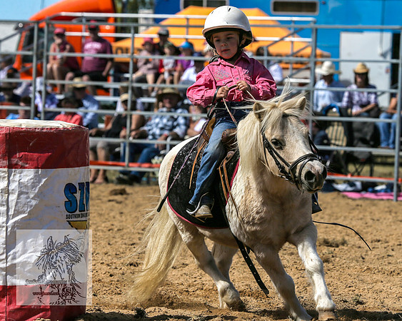BraidwoodRodeo2015_1228