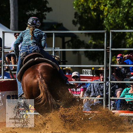 BraidwoodRodeo2015_0648