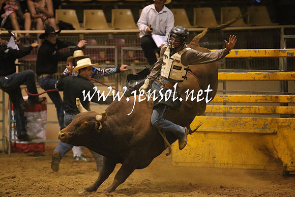 RealDealRodeoNov2013_1115