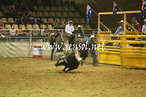 RealDealRodeoNov2013_1366