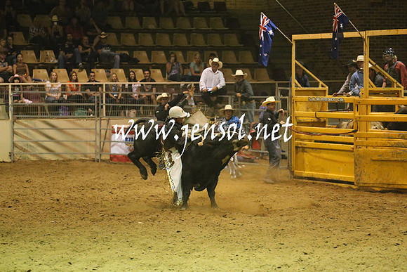 RealDealRodeoNov2013_1372