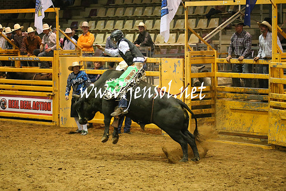RealDealRodeoNov2013_0568