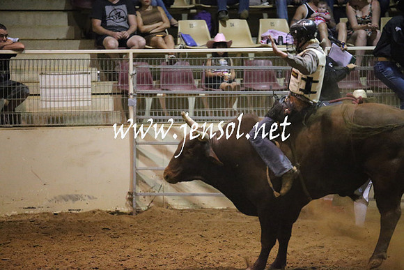 RealDealRodeoNov2013_1125
