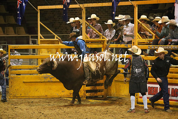 RealDealRodeoNov2013_1089