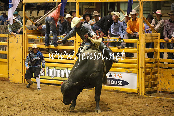 RealDealRodeoNov2013_1062